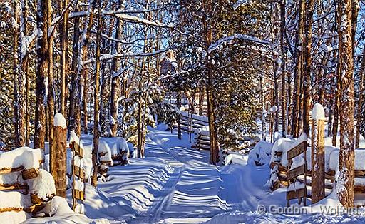 Winter Laneway_32613.jpg - Photographed near Sharbot Lake, Ontario, Canada.